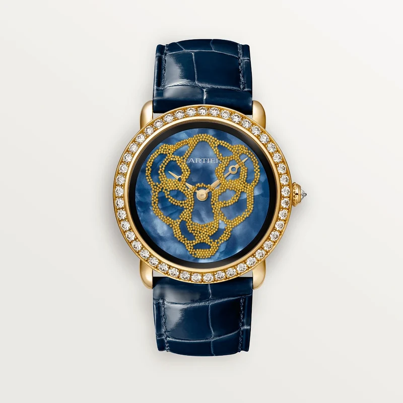 RÉVÉLATION D'UNE PANTHÈRE WATCH