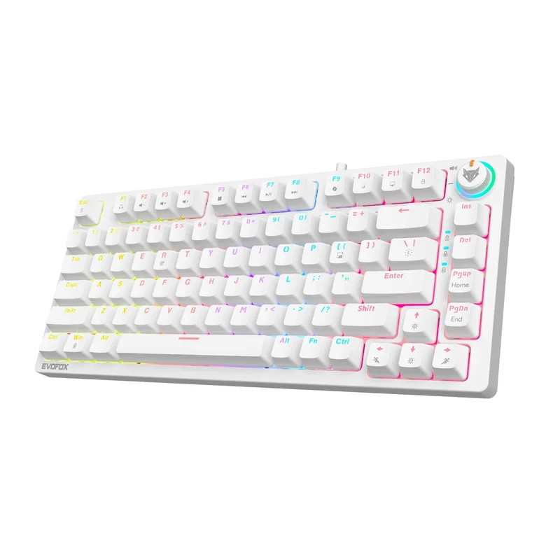 EvoFox Katana X2 TKL Mechanical Gaming Keyboard | 3‑Pin Replaceable Clicky Blue Switches, Dynamic Backlighting, All Keys Anti‑Ghosting, Volume Knob, Copilot, Xbox Gamebar, Screenshot & More