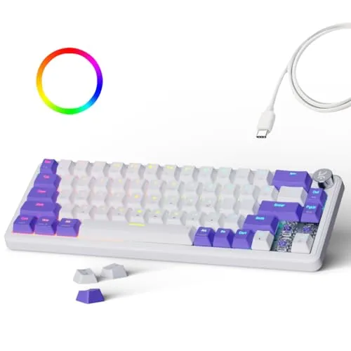 Kreo Hive 65 RGB Anti-ghosting Gaming Keyboard | Wired Mechanical Keyboard with RGB Backlight | 5 Pin Hot-Swap | Detachable USB C Cable (White)