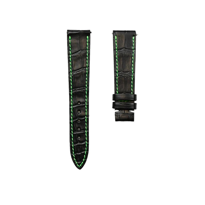 L'Alligator-V