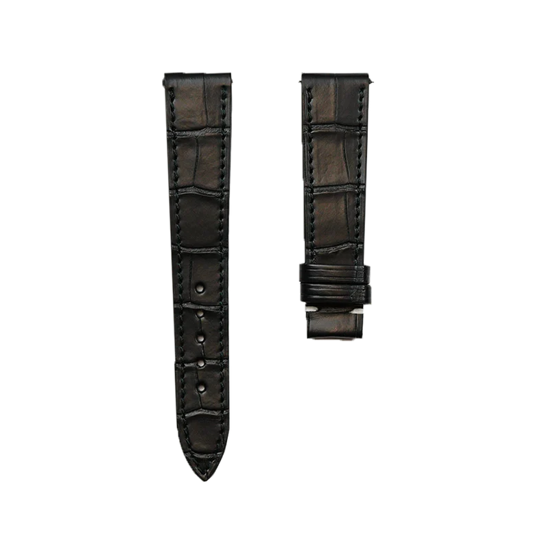 L'Alligator-N